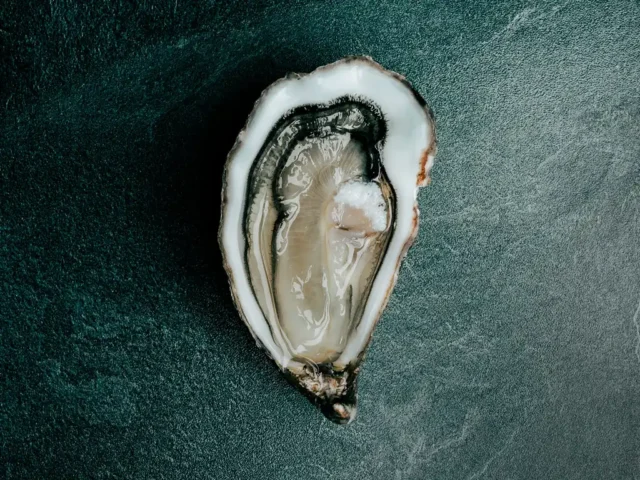 Huitre l exquise