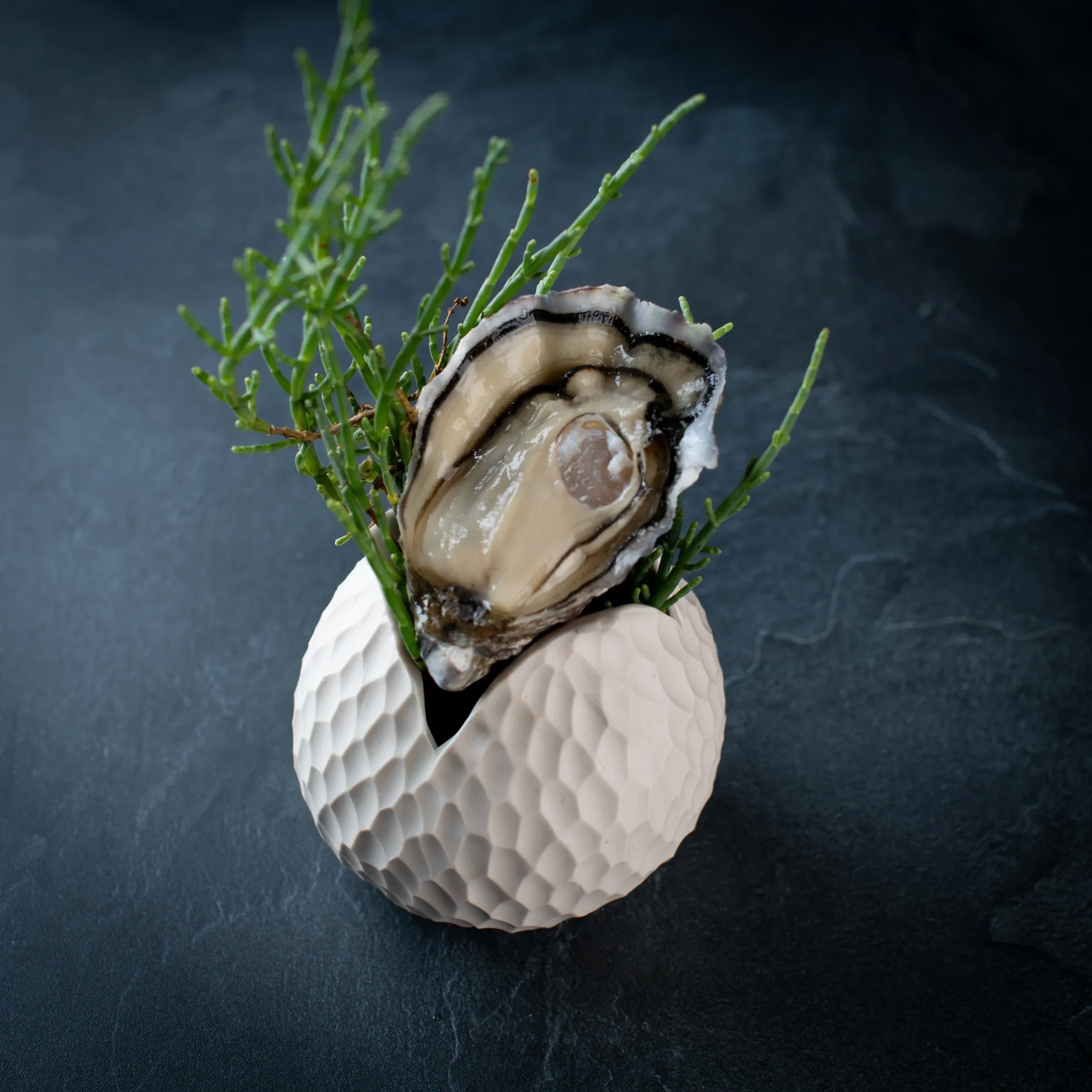 Huitres poget la p tiote