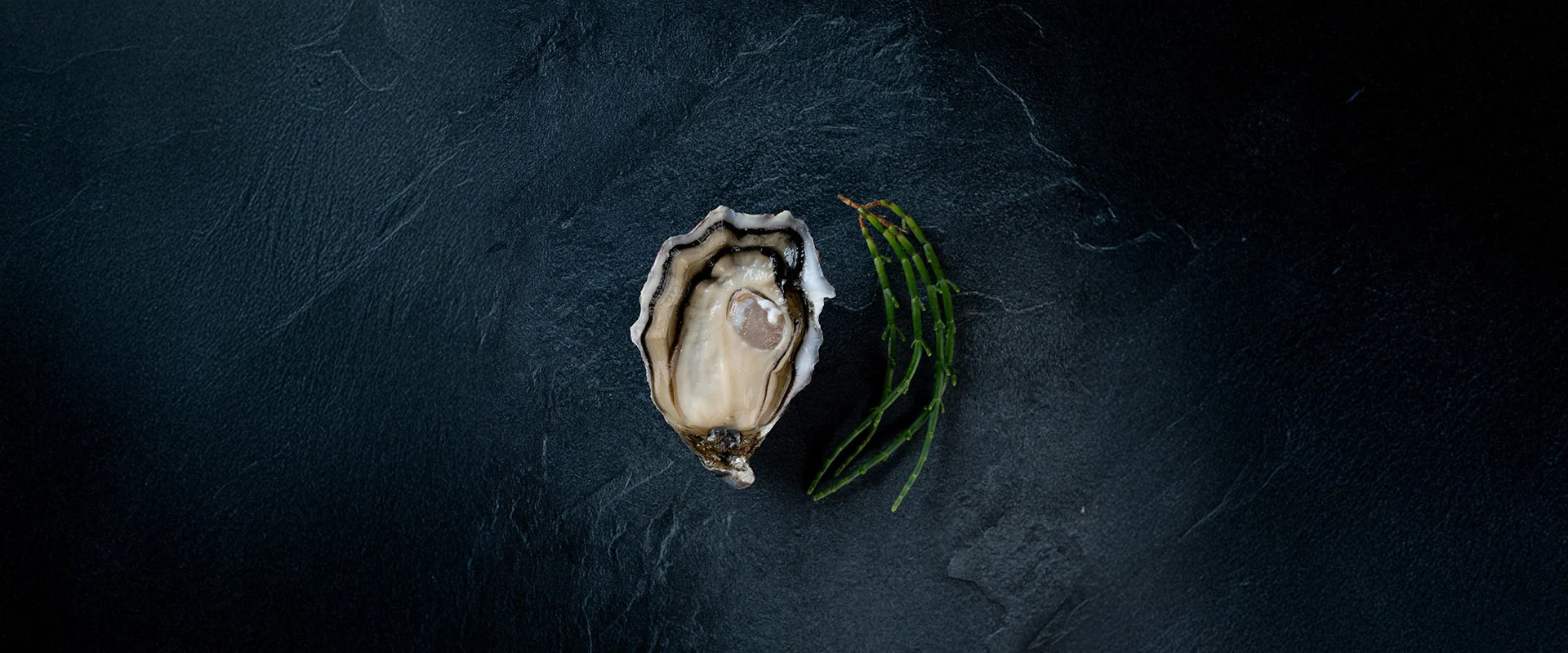 Huitres poget la p tiote