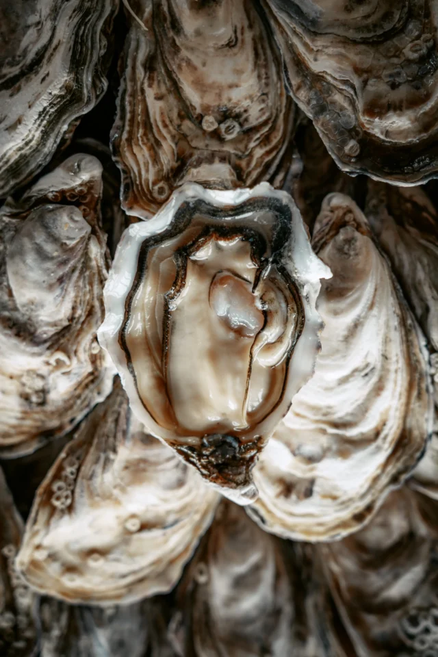 Huitres poget la p tiote