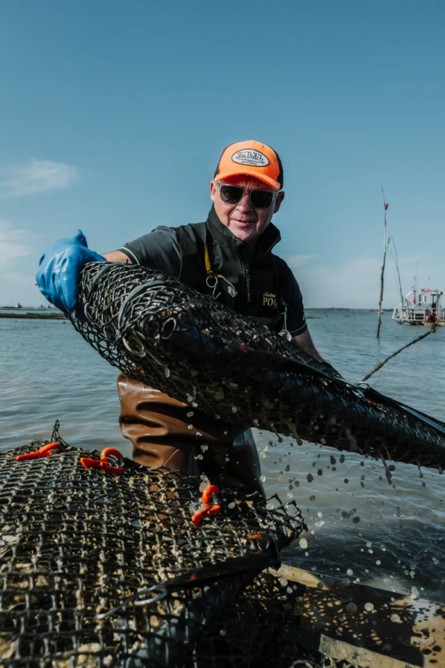 Huitres poget la p tiote