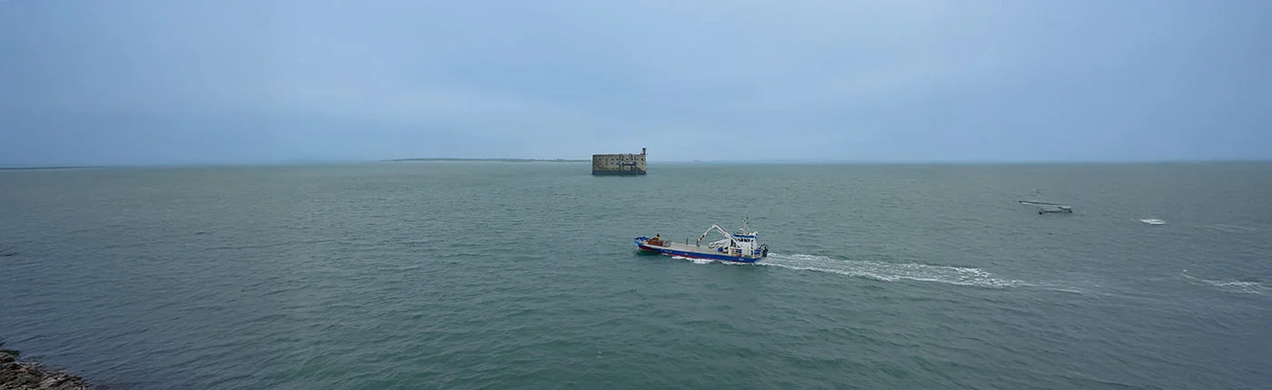 Maillage huitres poget fort boyard