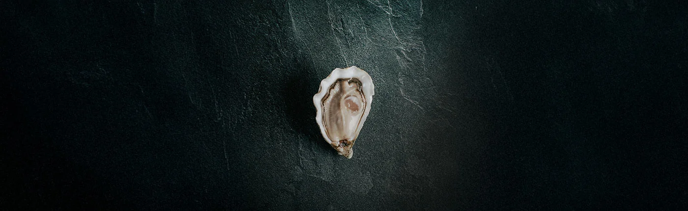 Maillage huitres poget p tiote