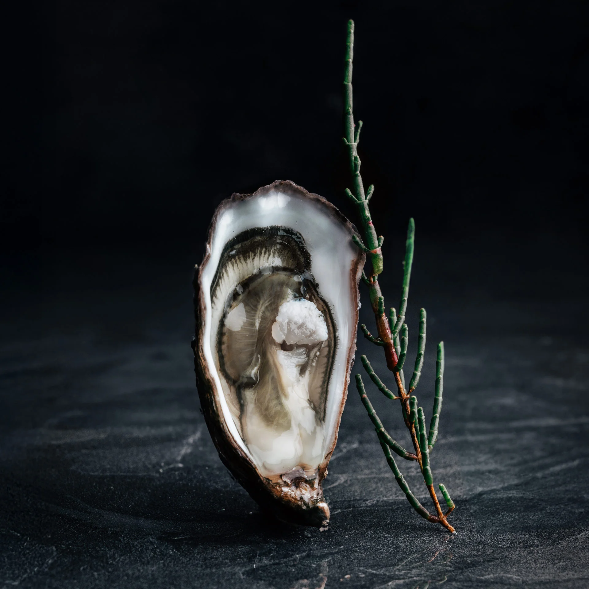 Nos huitres fines galon d or