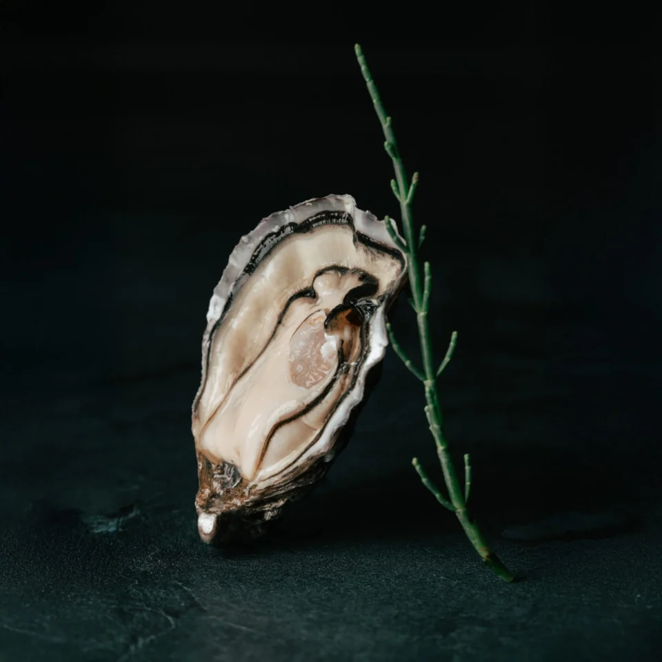 Nos huitres speciales l exquise