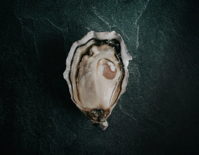 Notre savoir faire 3 1